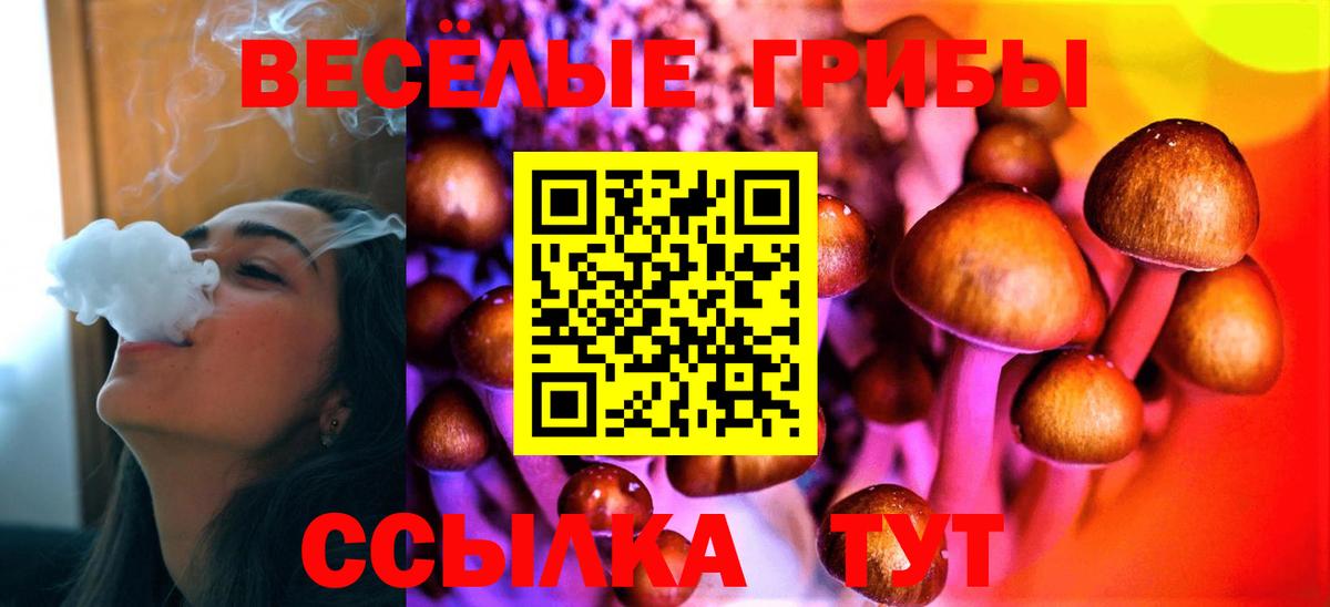 цены   Псилоцибиновые грибы MAGIC MUSHROOMS  Вход с VPN  Моздок 